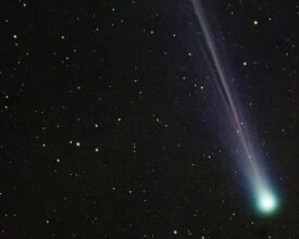 Comet R3 Pan-STARRS from April 12th. Image Credit: Eliot Herman.