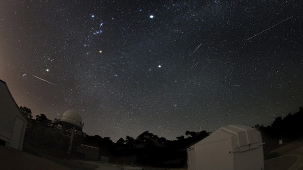 The Geminids over Perth Observatory. Image Credit: Roger Groom