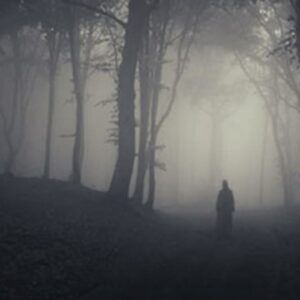 A ghost in the forest. Image Credit: Andreiuc88/Shutterstock