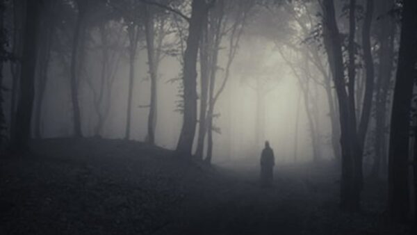 A ghost in the forest. Image Credit: Andreiuc88/Shutterstock