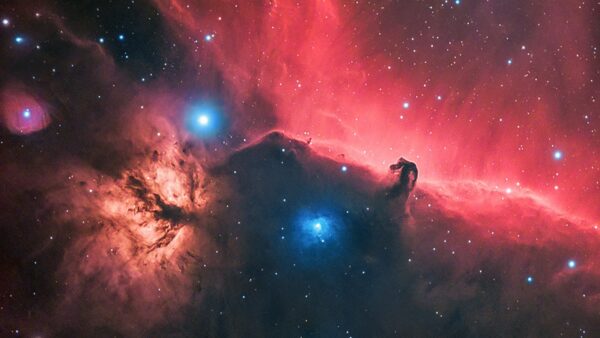 Horsehead and Flame Nebulas - Image Credit: Trevor Jones (@AstroBackyard)