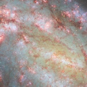 NGC 1559. Image Credit: NASA