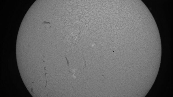 The Sun in the Coronado Telescope. Image Credit: cloudynights.com