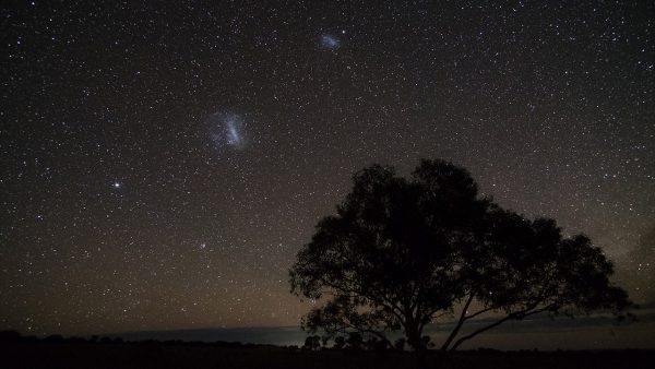 The Magellanic Clouds with a tree. Image Credit: Roger Groom